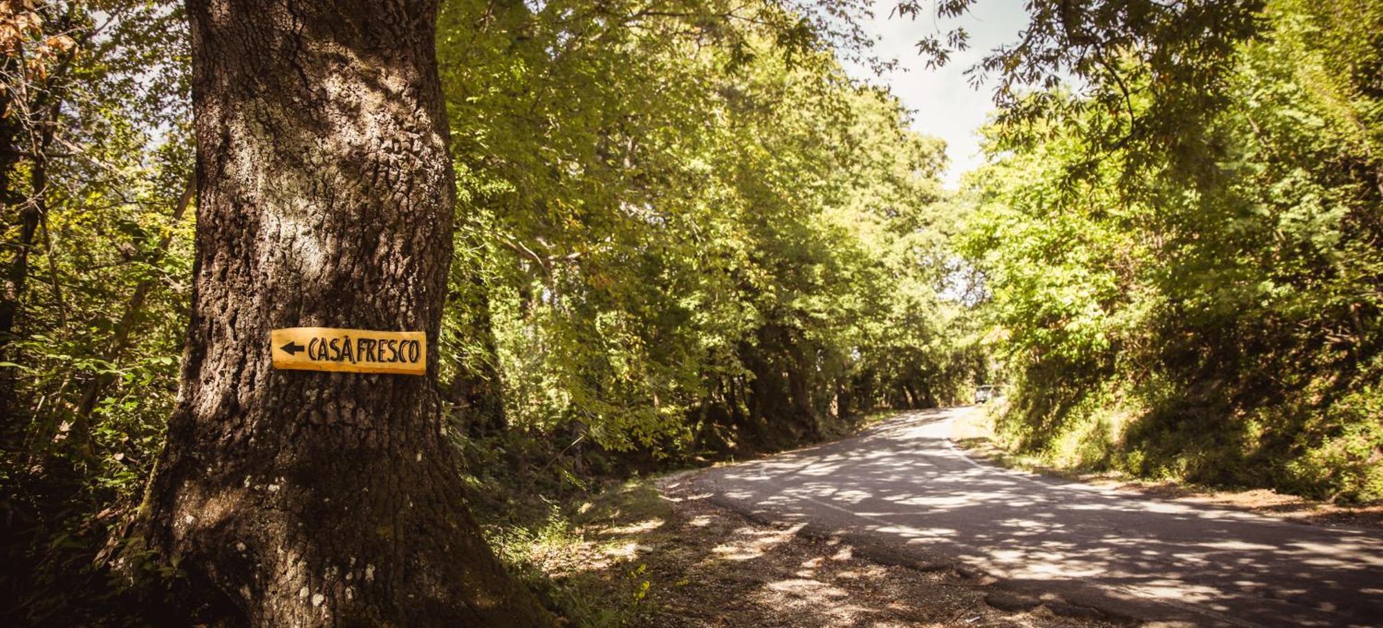 Nature & Relax In Tuscany - Pagiano 2 Villa Roccastrada Esterno foto